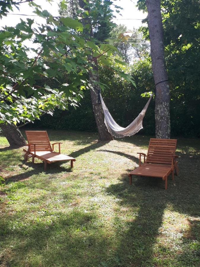 Gite Ma Vie La 3 Etoiles, Jacuzzi, Animaux Acceptes Saint-Julien-de-Cassagnas Exterior foto