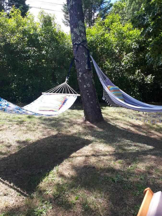 Gite Ma Vie La 3 Etoiles, Jacuzzi, Animaux Acceptes Saint-Julien-de-Cassagnas Exterior foto